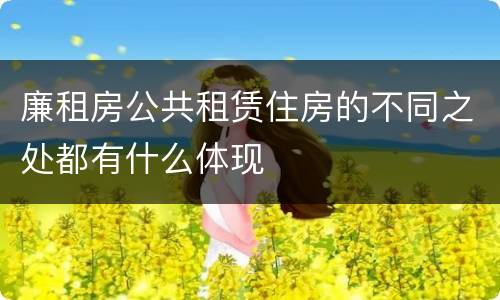 廉租房公共租赁住房的不同之处都有什么体现