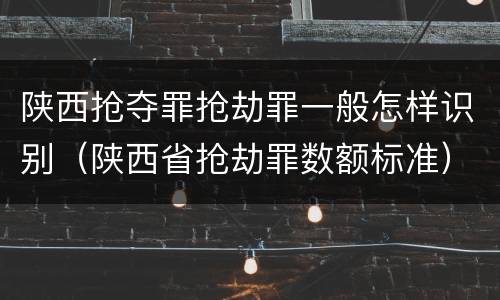 陕西抢夺罪抢劫罪一般怎样识别（陕西省抢劫罪数额标准）