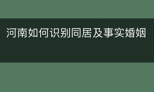 河南如何识别同居及事实婚姻