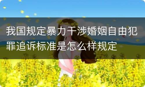 我国规定暴力干涉婚姻自由犯罪追诉标准是怎么样规定