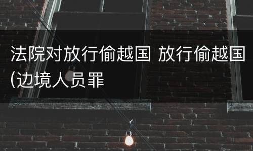 法院对放行偷越国 放行偷越国(边境人员罪
