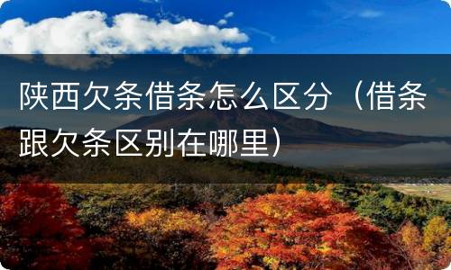 陕西欠条借条怎么区分（借条跟欠条区别在哪里）