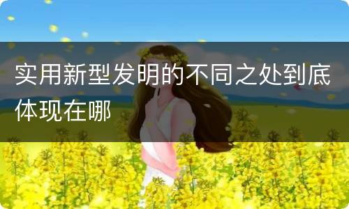 实用新型发明的不同之处到底体现在哪