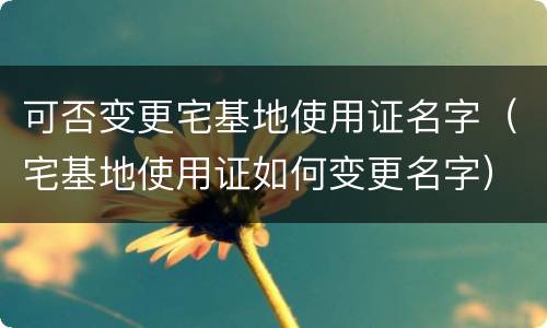 可否变更宅基地使用证名字（宅基地使用证如何变更名字）