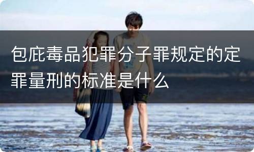 包庇毒品犯罪分子罪规定的定罪量刑的标准是什么