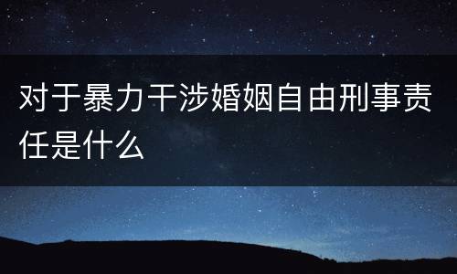 对于暴力干涉婚姻自由刑事责任是什么