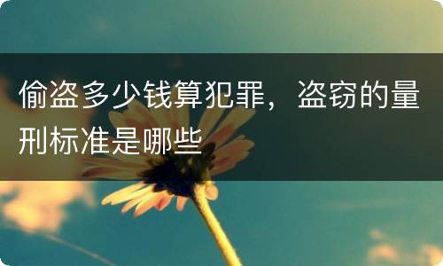偷盗多少钱算犯罪，盗窃的量刑标准是哪些