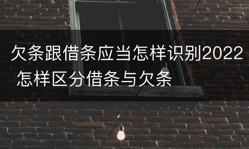 欠条跟借条应当怎样识别2022 怎样区分借条与欠条