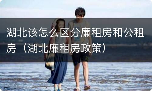 湖北该怎么区分廉租房和公租房（湖北廉租房政策）