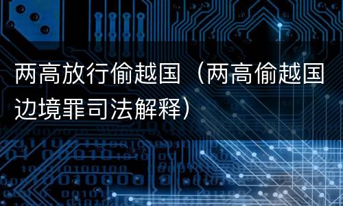 两高放行偷越国（两高偷越国边境罪司法解释）