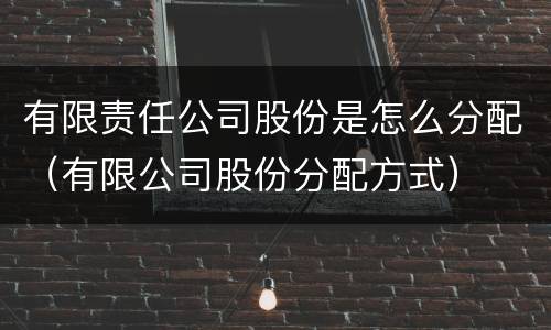 有限责任公司股份是怎么分配（有限公司股份分配方式）