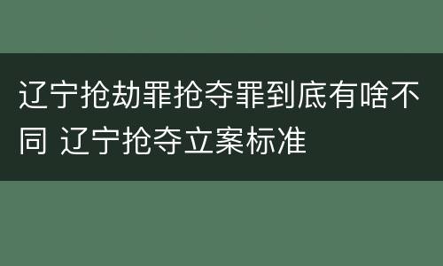 辽宁抢劫罪抢夺罪到底有啥不同 辽宁抢夺立案标准