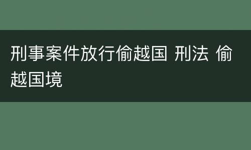 刑事案件放行偷越国 刑法 偷越国境