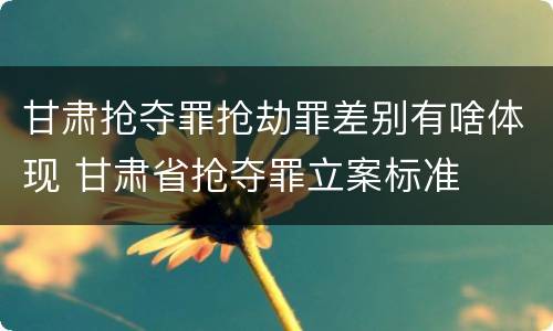 甘肃抢夺罪抢劫罪差别有啥体现 甘肃省抢夺罪立案标准