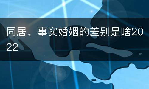 同居、事实婚姻的差别是啥2022