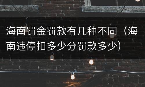 海南罚金罚款有几种不同（海南违停扣多少分罚款多少）