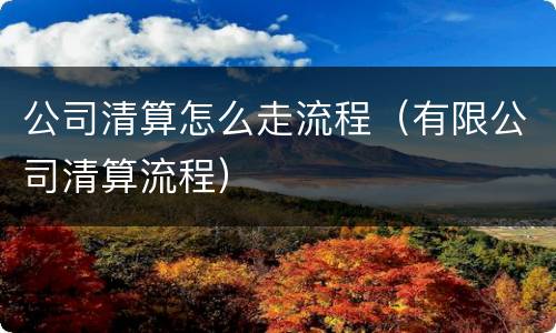 公司清算怎么走流程（有限公司清算流程）