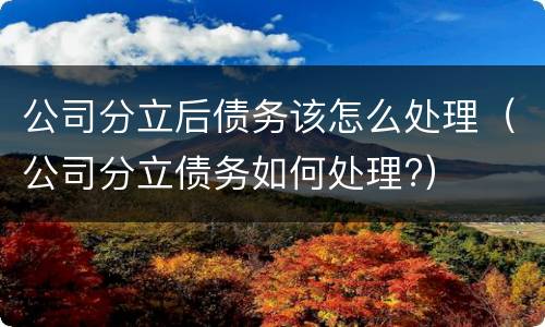 公司分立后债务该怎么处理（公司分立债务如何处理?）