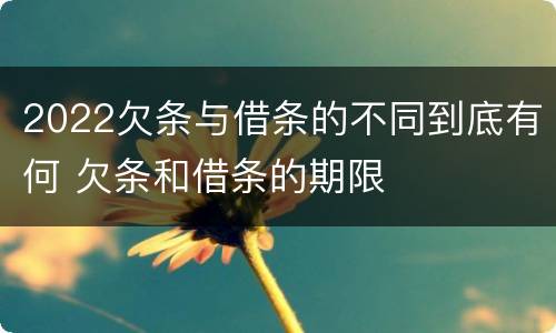 2022欠条与借条的不同到底有何 欠条和借条的期限