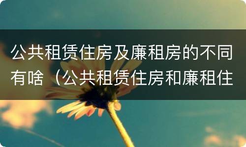 公共租赁住房及廉租房的不同有啥（公共租赁住房和廉租住房并轨运行）