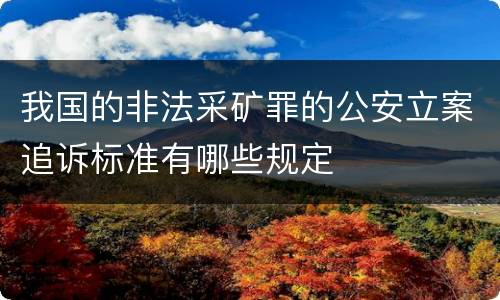 我国的非法采矿罪的公安立案追诉标准有哪些规定