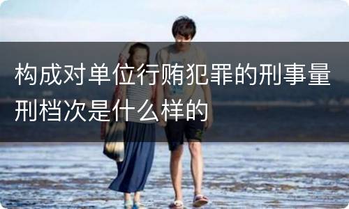 构成对单位行贿犯罪的刑事量刑档次是什么样的