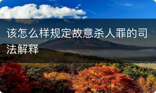 该怎么样规定故意杀人罪的司法解释