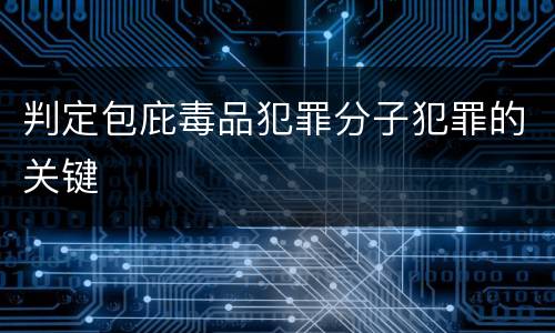 判定包庇毒品犯罪分子犯罪的关键