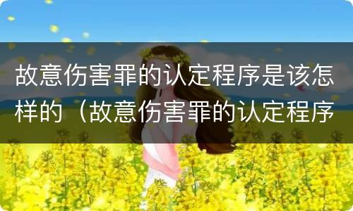 故意伤害罪的认定程序是该怎样的（故意伤害罪的认定程序是该怎样的呢）