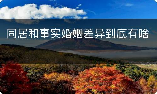 同居和事实婚姻差异到底有啥