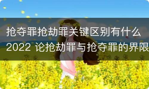 抢夺罪抢劫罪关键区别有什么2022 论抢劫罪与抢夺罪的界限