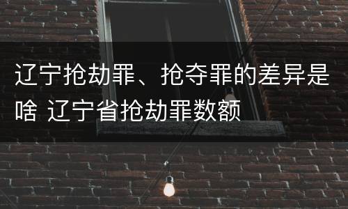 辽宁抢劫罪、抢夺罪的差异是啥 辽宁省抢劫罪数额
