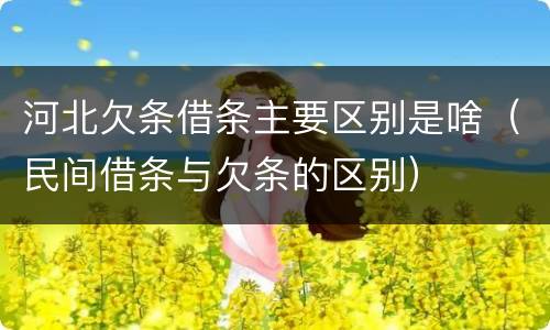 河北欠条借条主要区别是啥（民间借条与欠条的区别）