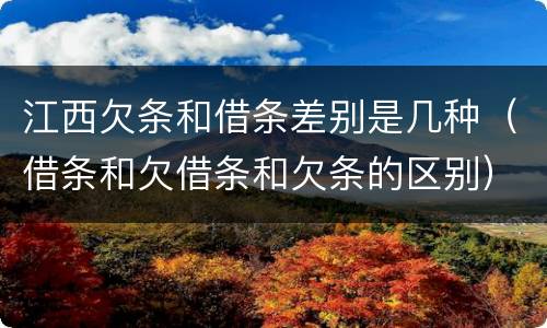 江西欠条和借条差别是几种（借条和欠借条和欠条的区别）