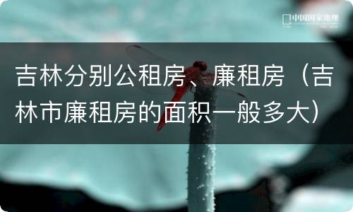吉林分别公租房、廉租房（吉林市廉租房的面积一般多大）