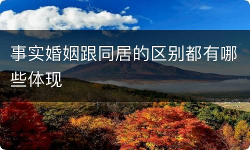 事实婚姻跟同居的区别都有哪些体现