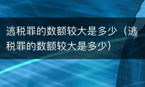 逃税罪的数额较大是多少（逃税罪的数额较大是多少）