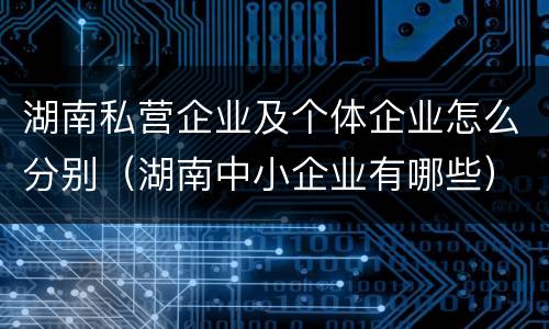湖南私营企业及个体企业怎么分别（湖南中小企业有哪些）
