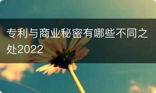专利与商业秘密有哪些不同之处2022