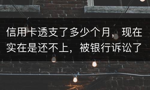 信用卡透支了多少个月，现在实在是还不上，被银行诉讼了要怎样办，谢谢