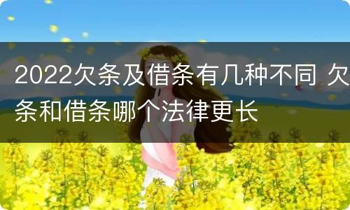 2022欠条及借条有几种不同 欠条和借条哪个法律更长