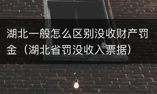 湖北一般怎么区别没收财产罚金（湖北省罚没收入票据）