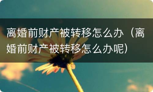 离婚前财产被转移怎么办（离婚前财产被转移怎么办呢）