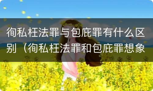 徇私枉法罪与包庇罪有什么区别（徇私枉法罪和包庇罪想象竞合）