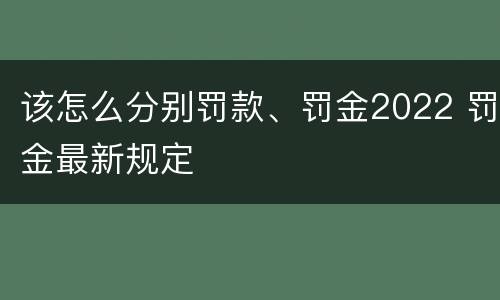 该怎么分别罚款、罚金2022 罚金最新规定