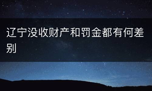 辽宁没收财产和罚金都有何差别