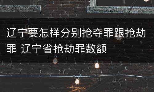 辽宁要怎样分别抢夺罪跟抢劫罪 辽宁省抢劫罪数额