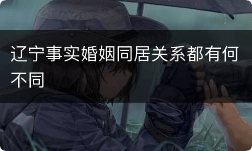辽宁事实婚姻同居关系都有何不同