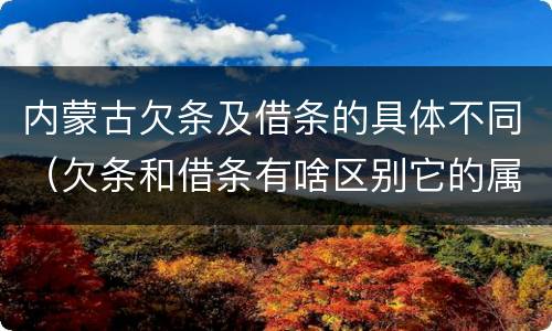 内蒙古欠条及借条的具体不同（欠条和借条有啥区别它的属性时效怎么规定的）