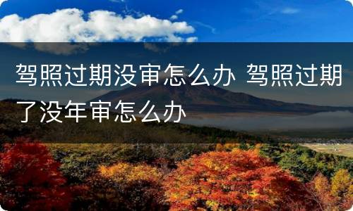 驾照过期没审怎么办 驾照过期了没年审怎么办